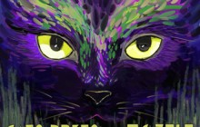 gato preto